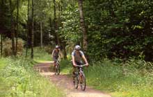 transport for bikes